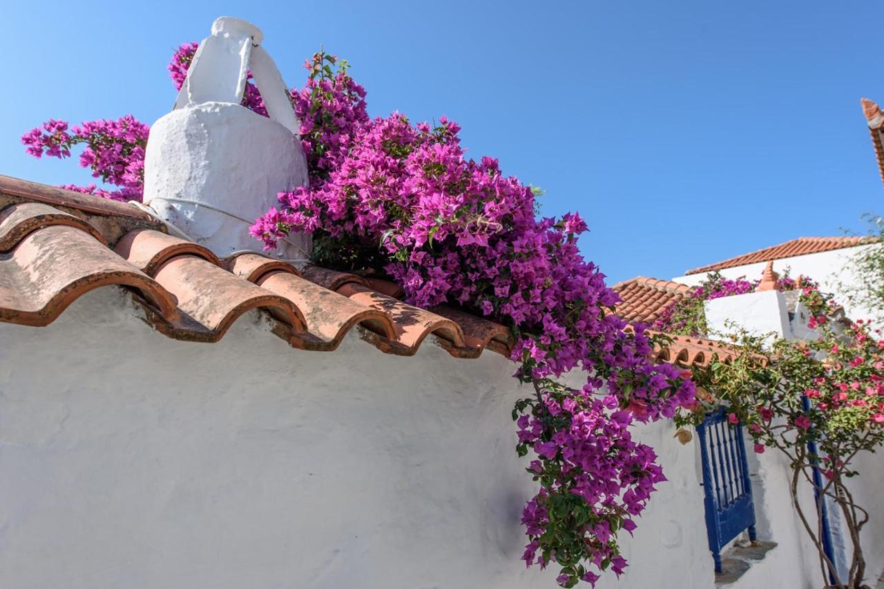 Villea Seaview Apartments Skopelos Exteriér fotografie
