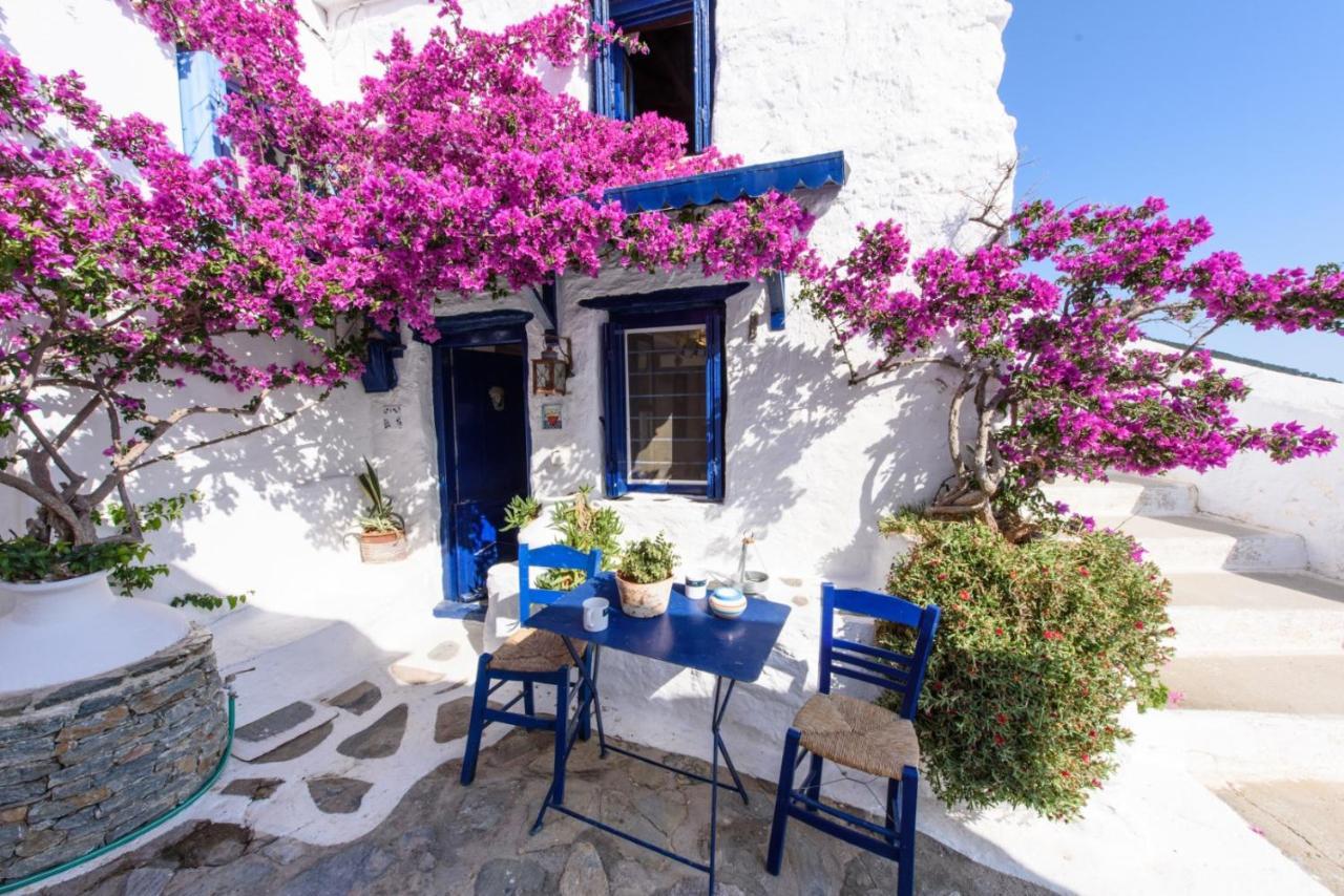 Villea Seaview Apartments Skopelos Exteriér fotografie